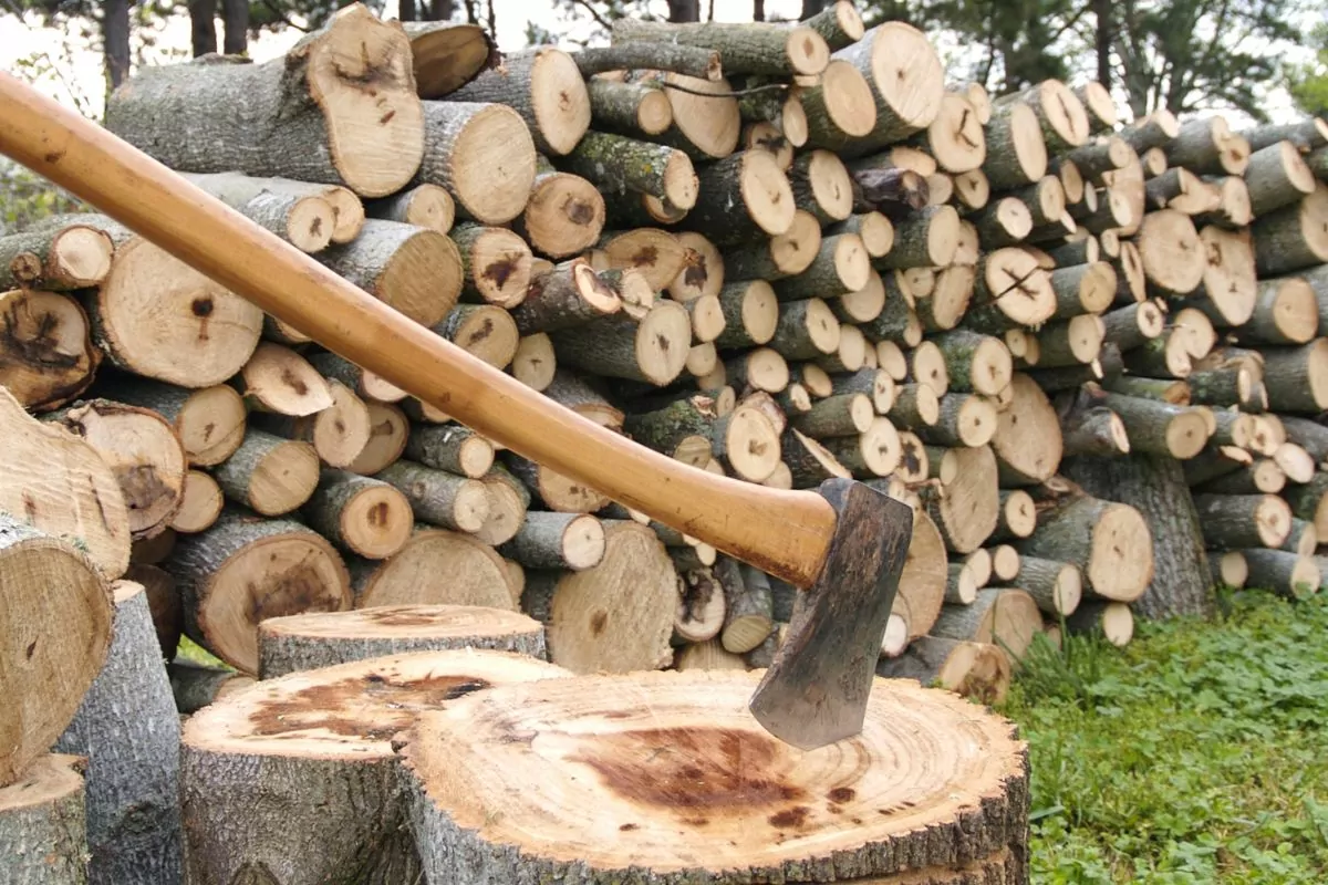 How To Split Wood With An Axe - Texas Prepares.org