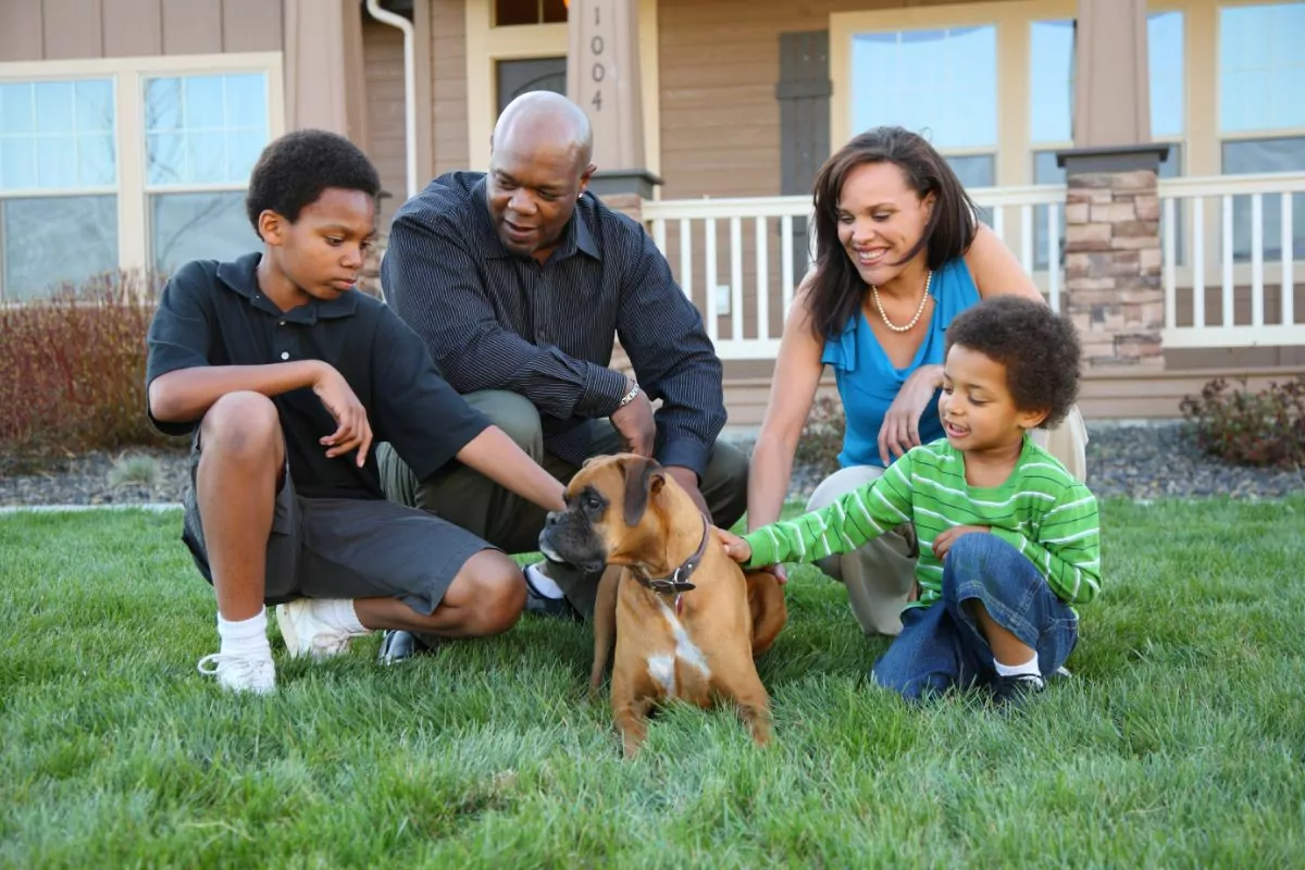 How To Write A Survival Plan For Family Pets?